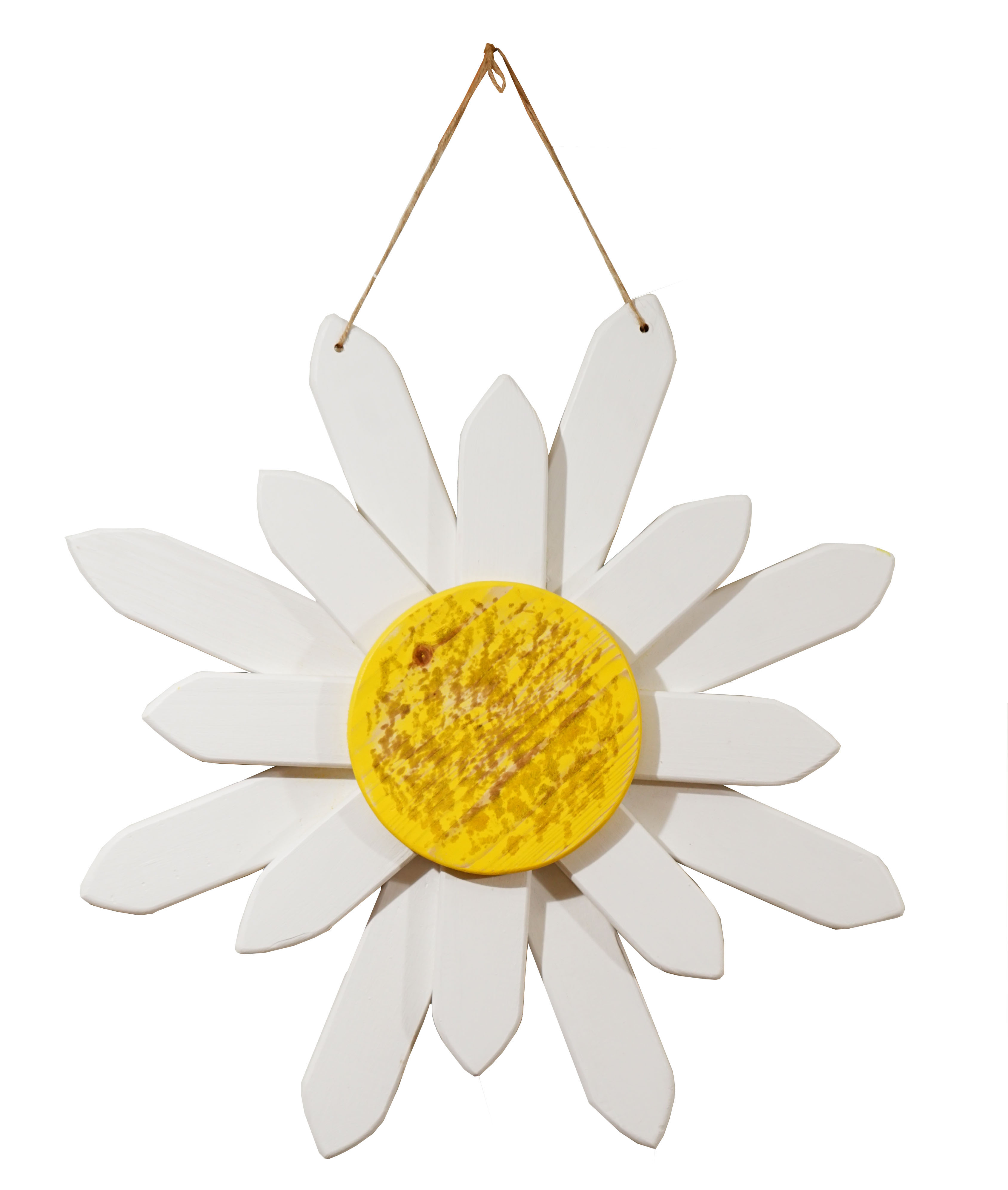 Daisy